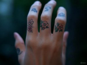 Timeless Classic Collection